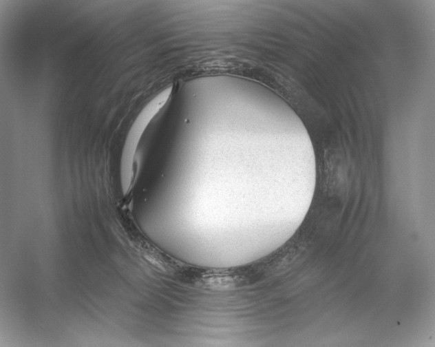 X0000052950228200508050930