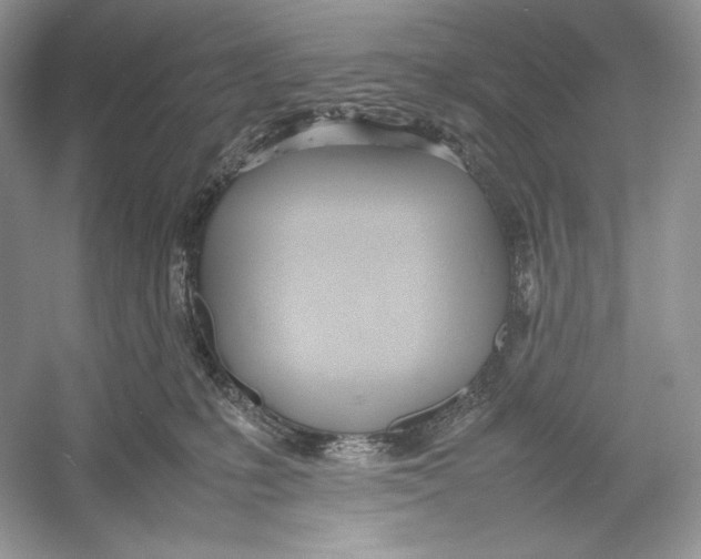 X0000052950231200508050930