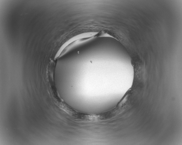 X0000052950233200508050930