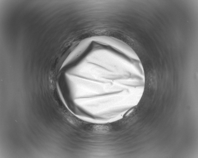 X0000052950234200508050930