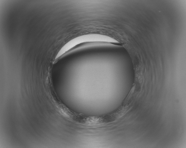 X0000052950235200508050930