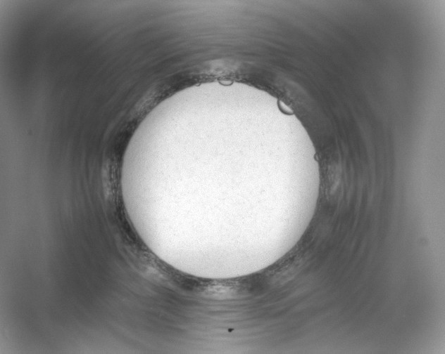 X0000052950236200508050930