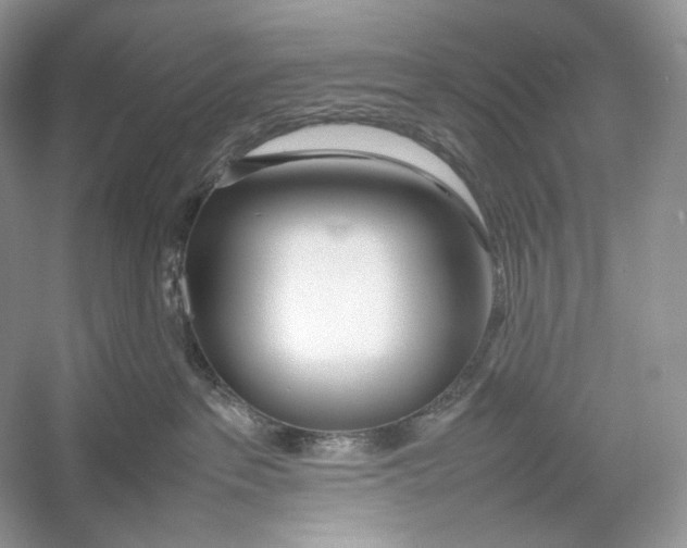 X0000052950237200508050930