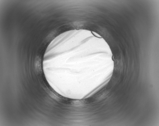 X0000052950238200508050930