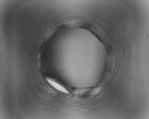 X0000052950239200508050930