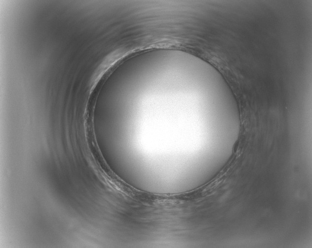 X0000052950242200508050929