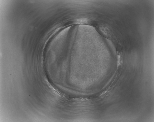 X0000052950243200508050929