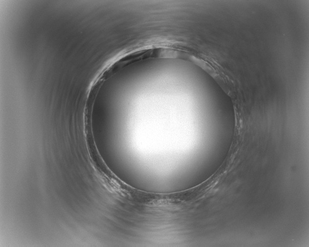 X0000052950244200508050929