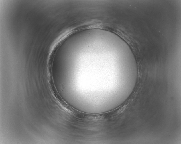 X0000052950245200508050929