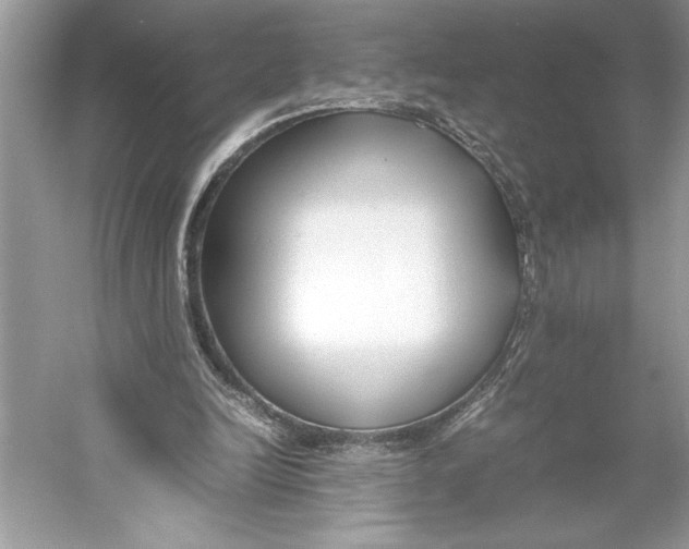 X0000052950246200508050929