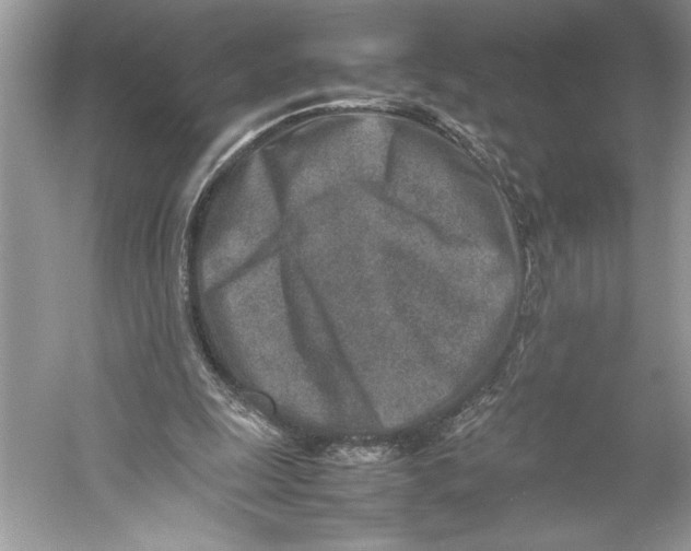 X0000052950247200508050929