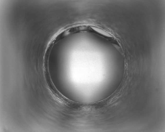 X0000052950248200508050929