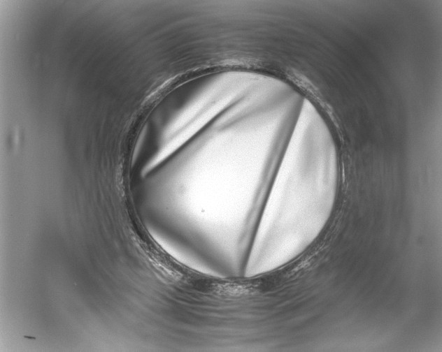 X0000052950249200508050929