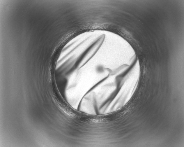 X0000052950250200508050929