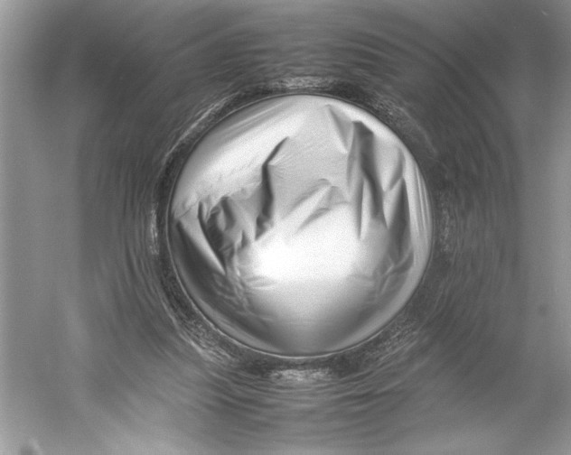 X0000052950251200508050929