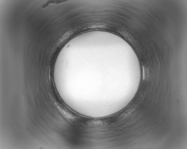 X0000052950253200508050929