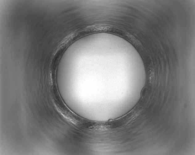 X0000052950254200508050929