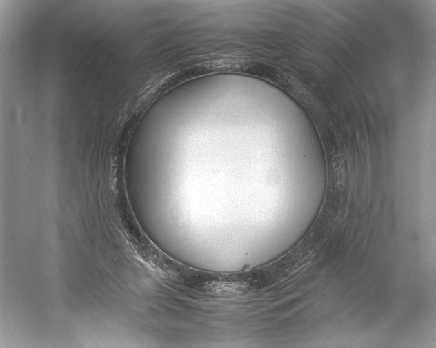 X0000052950255200508050929