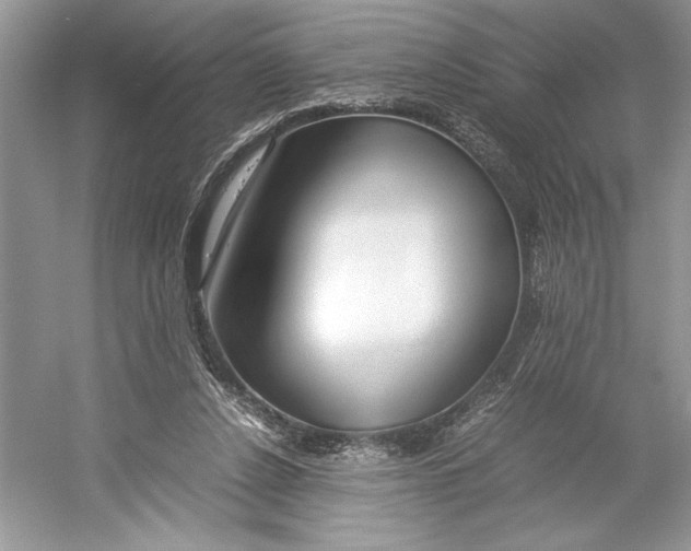 X0000052950256200508050930