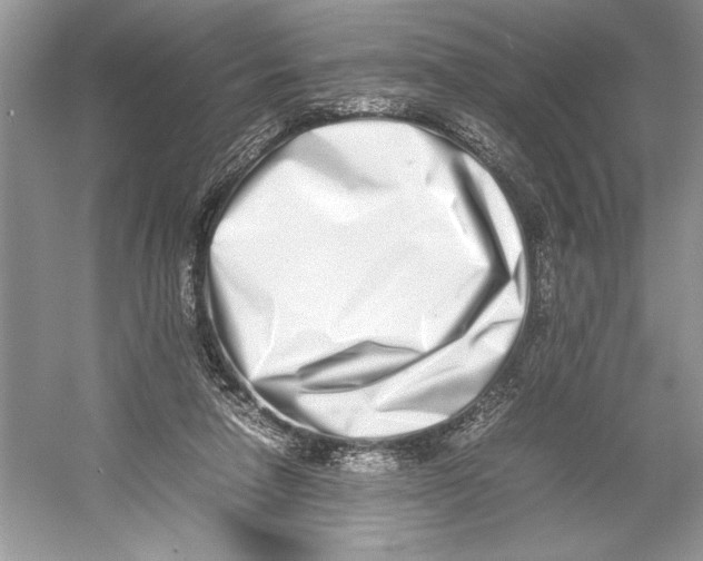 X0000052950258200508050930