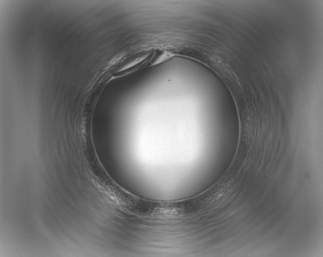 X0000052950260200508050930