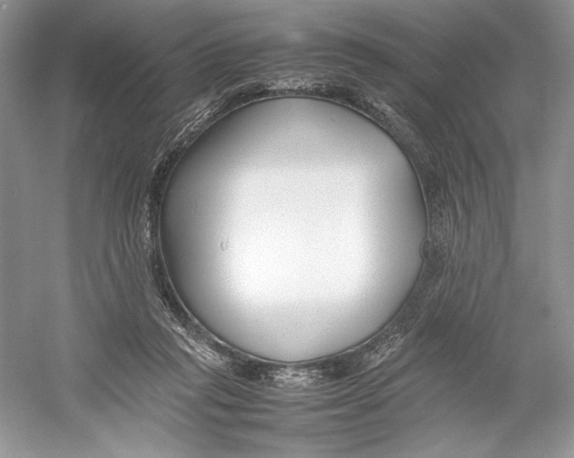 X0000052950261200508050930