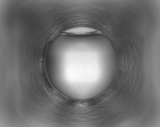 X0000052950263200508050930