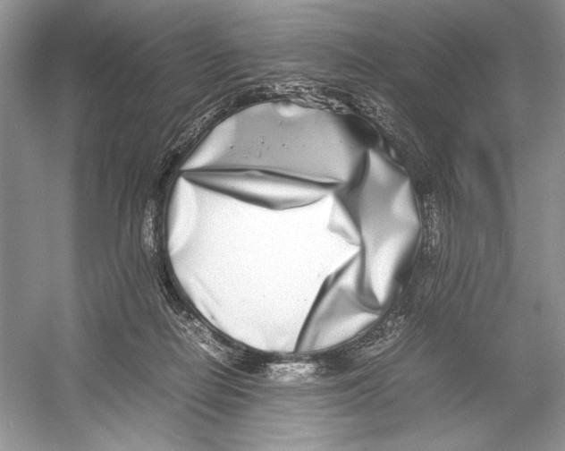 X0000052950266200508050930