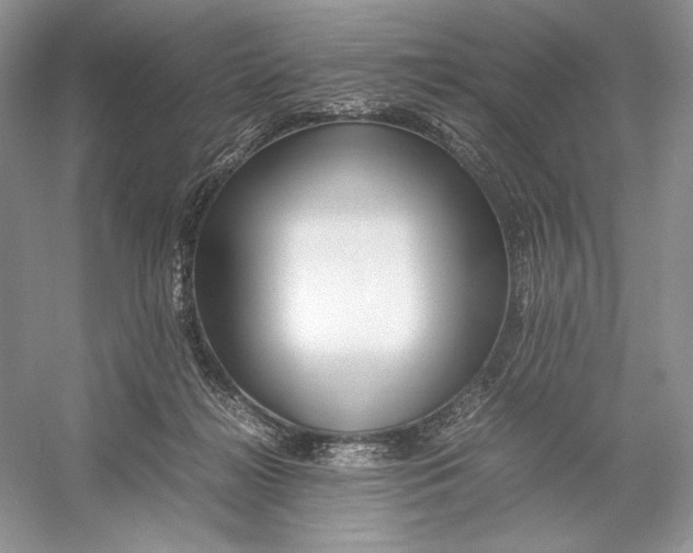 X0000052950268200508050930