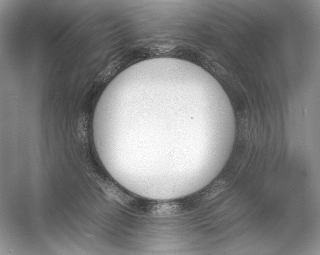 X0000052950274200508050930