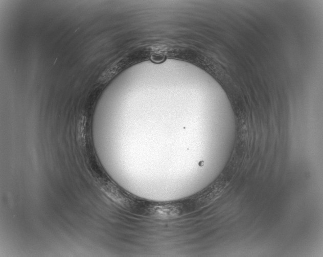 X0000052950275200508050930