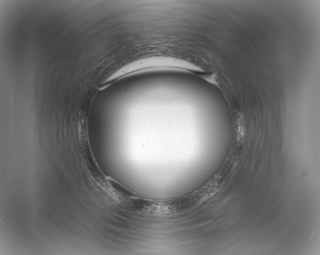 X0000052950276200508050930