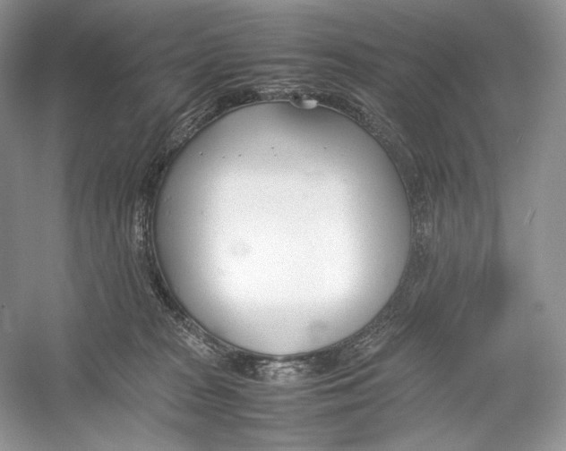 X0000052950277200508050930