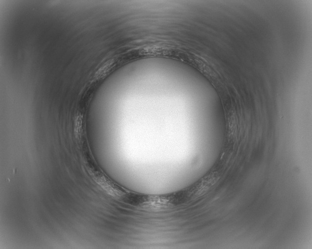 X0000052950278200508050930