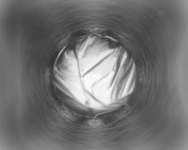 X0000052950279200508050930