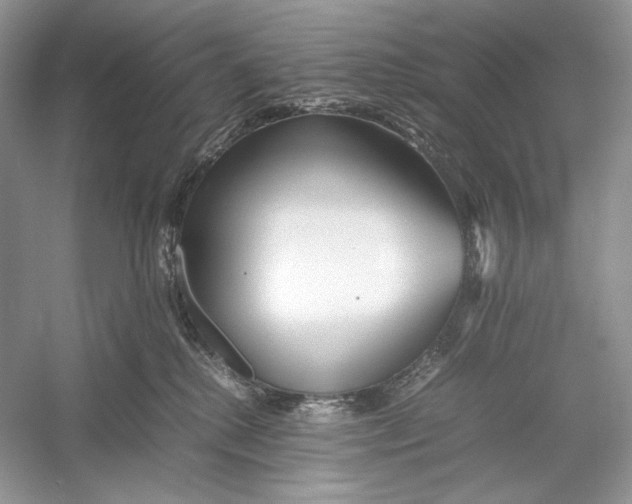 X0000052950280200508050930