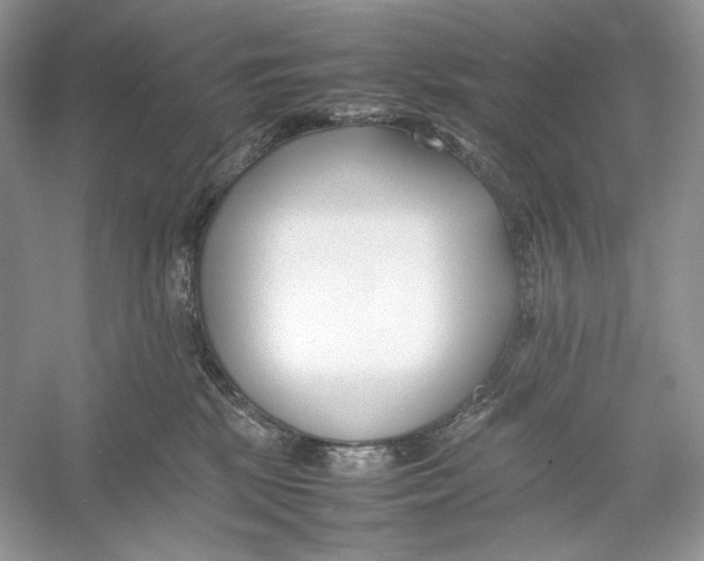 X0000052950281200508050930