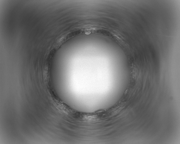 X0000052950283200508050930