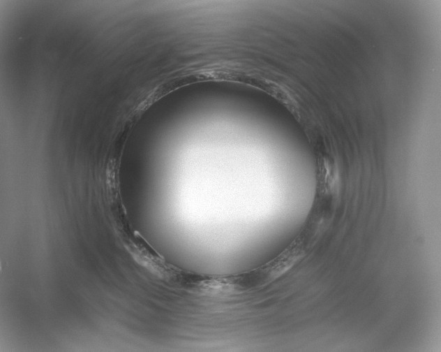 X0000052950284200508050930