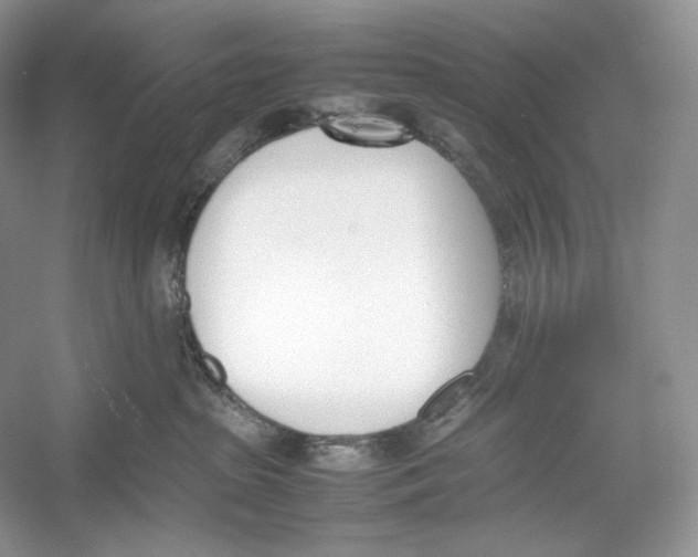 X0000052950285200508050930