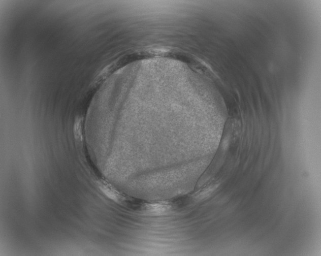 X0000052950286200508050930