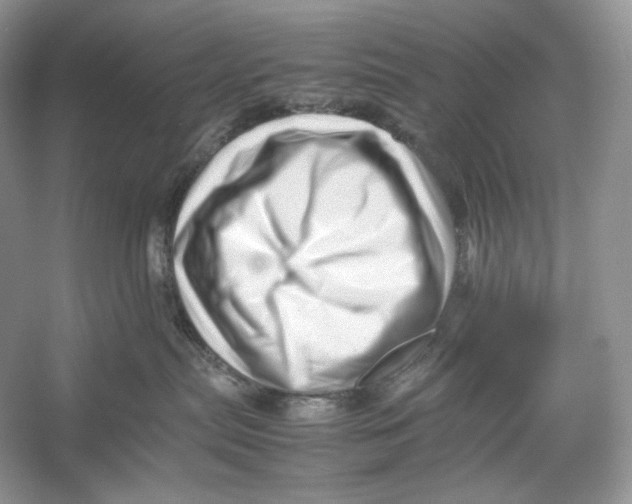 X0000052950287200508050930