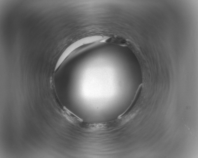 X0000052950288200508050930