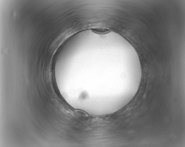 X0000052950290200508050929