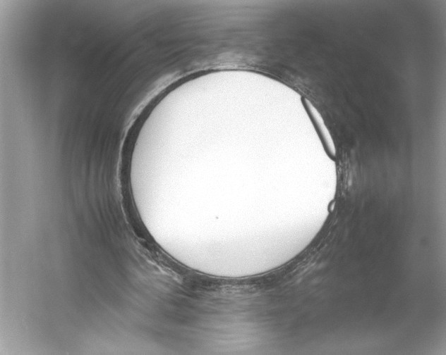 X0000052950292200508050929