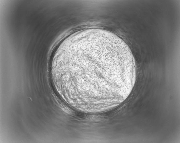 X0000052950293200508050929