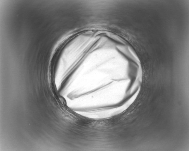 X0000052950294200508050929