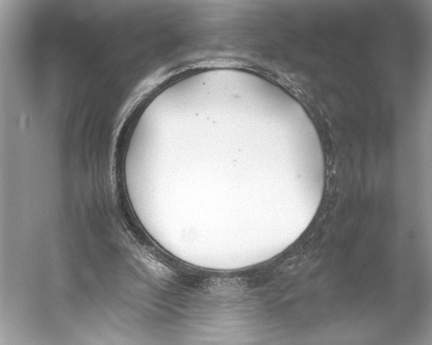 X0000052950296200508050929