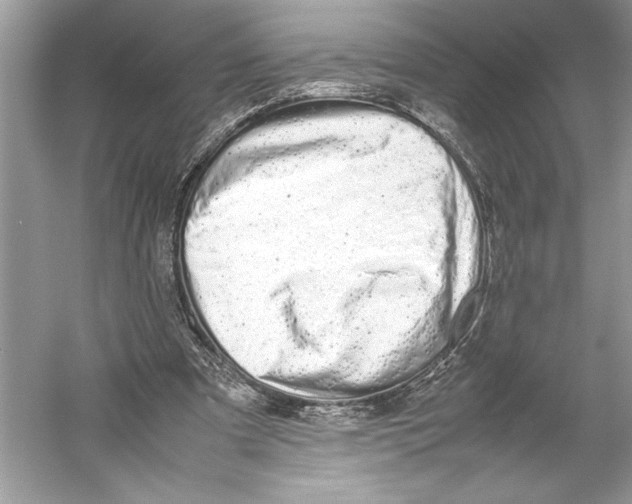 X0000052950297200508050929