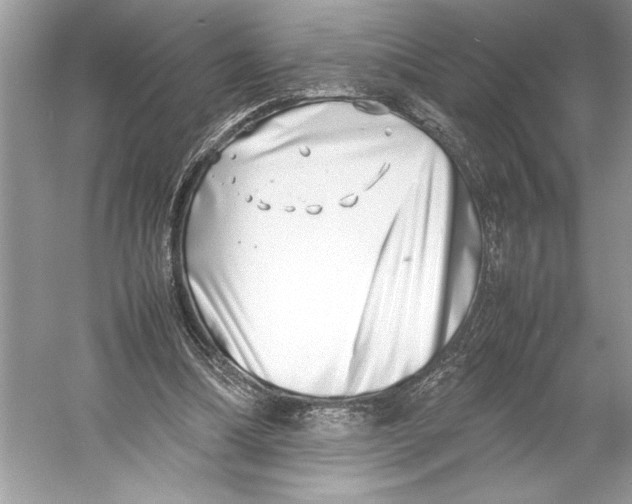 X0000052950298200508050929